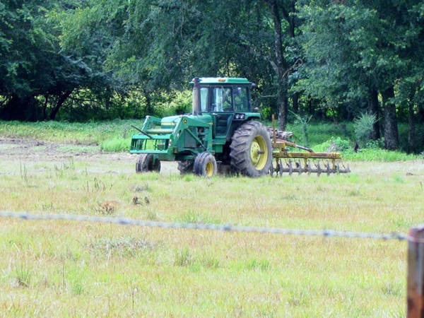 Amite County has plentiful farmland