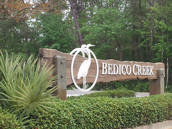 Bedico Creek Subdivision is on large acreage with many new-build homes and more to come