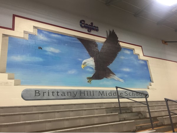 Awesome mural in Brittany Hill Middle School gym