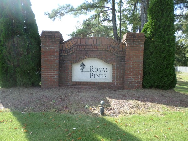 Welcome to Royal Pines