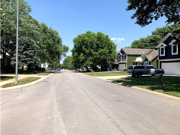 The well-maintained neighborhood of Brittany Meadows