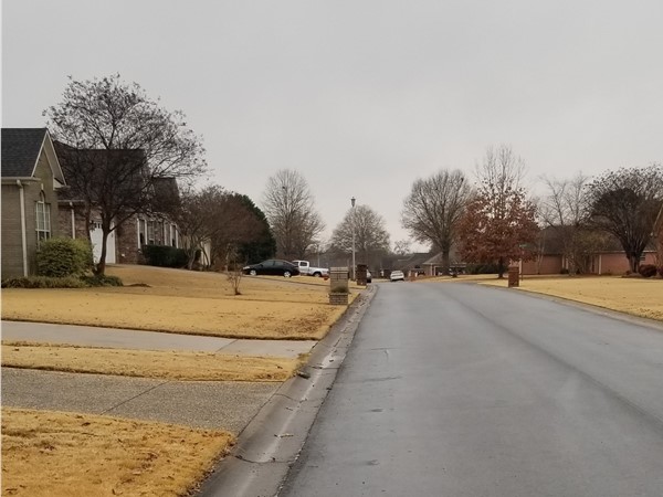 Many homes in a variety of sizes located in this neighborhood