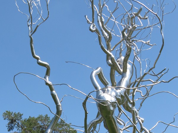 The Big Silver Tree at the Nelson Atkins Museum of Art