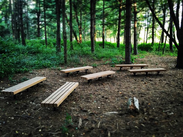 Amberly Elementary boasts an outdoor classroom in their wooded adjacent lot
