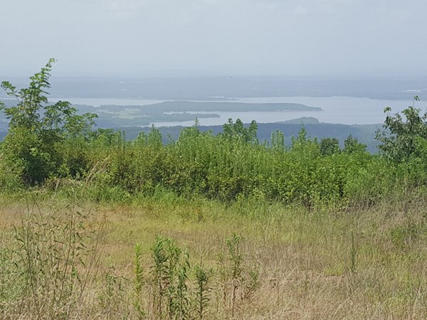 Lake Dardanelle as viewed from Logan County side of Spring Mountain. Great cabin spots