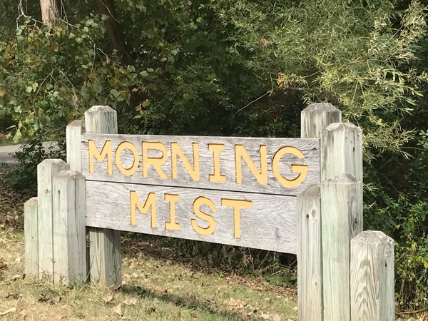 Welcome to Morning Mist