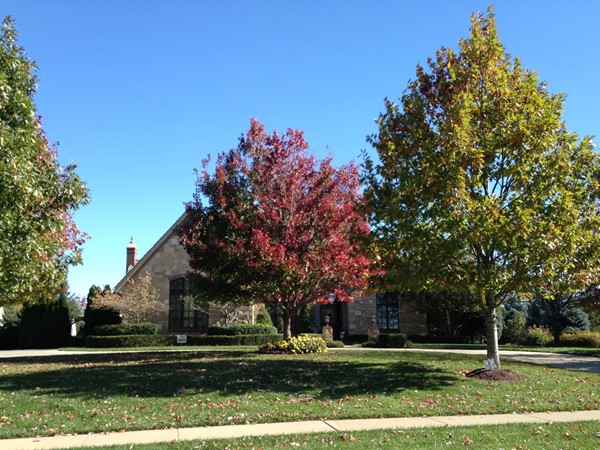 Lush autumn trees in Fall Creek Farms neighborhood 