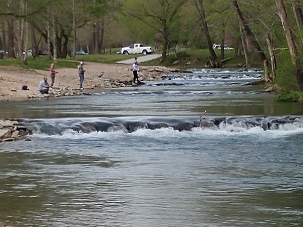 Who is ready for some time to relax and enjoy Roaring River State Park?