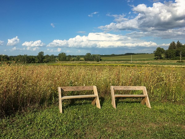A place to rest and admire the view at the Cedar Valley Arboretum 