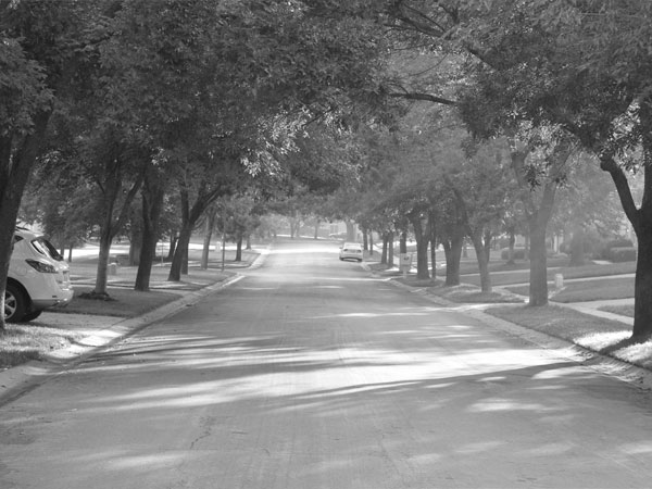 Lingle Lane - a quiet, tree-lined entry into the Oak Hill subdivision