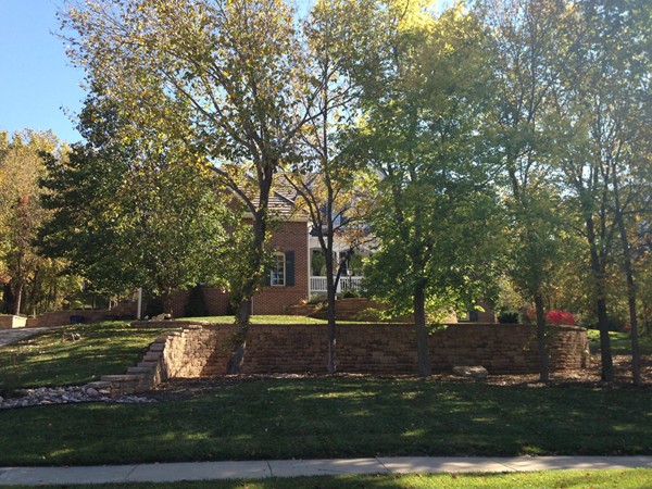 Sun shines through a home's incredible landscaping in Foxfire neighborhood