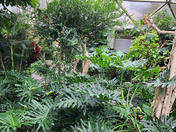 Tropical Rainforest Dome at the Topeka Zoo