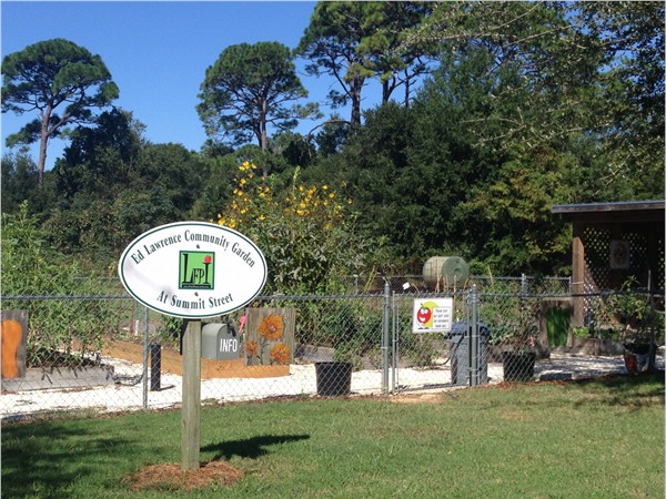 Plots up for adoption at Fairhope's Community Garden Downtown  