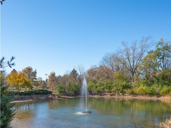 Lake with fountain at Enclave at Cedar Pointe - Fall 2019