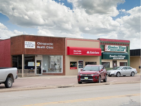McCloy Chiropractic Clinic, State Farm, and Bamboo Village in Onawa
