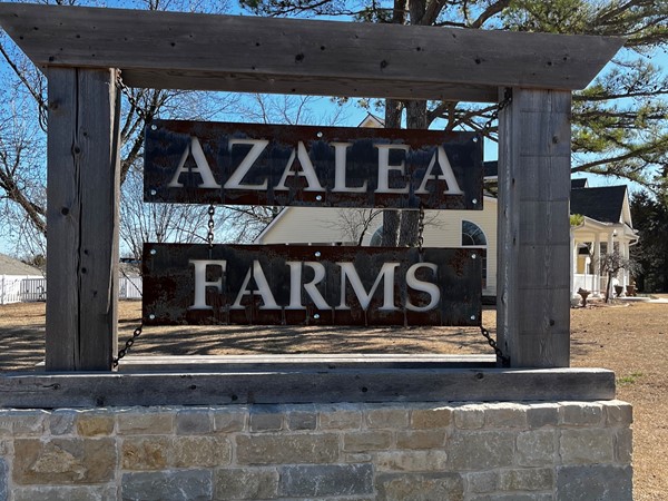 New construction still ongoing in Azalea Farms