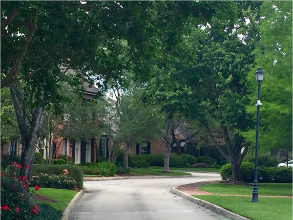 Tree lined entrance to Wrenwood Townhomes