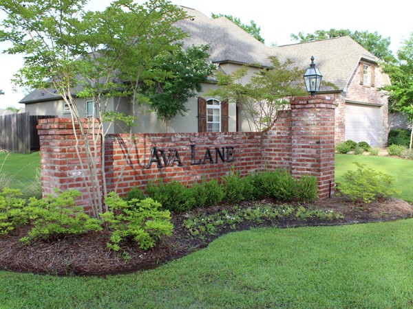 Ava Lane in Belle Pointe Subdivision offers a variety of luxurious home designs in a private setting
