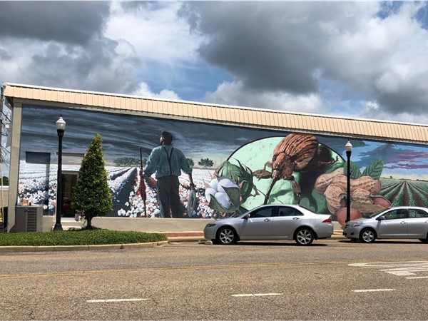 Downtown Boll Weevil Mural 