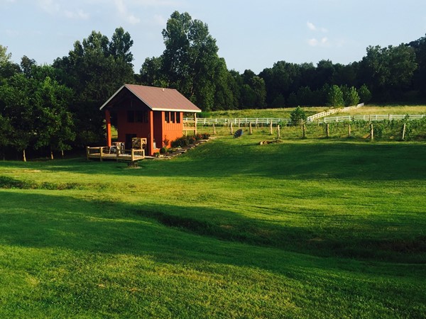 Sassafras Vineyards is perfect for an event venue or just a cool place to spend the afternoon