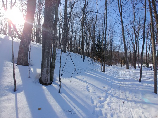 Snowshoe the hilly Lake Ann Pathway on a sunny day for a great workout