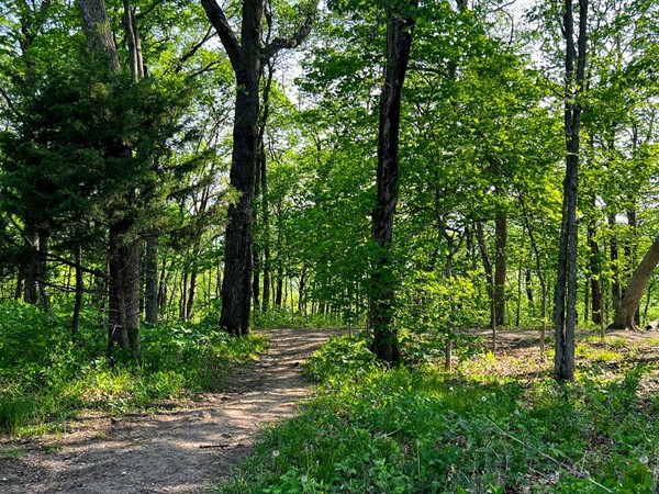 If you enjoy nature, you’ll love the walking trails