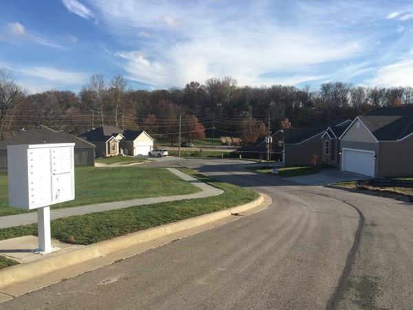 Newest maintenance free subdivision in Liberty