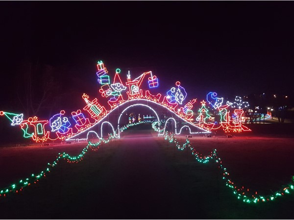 Light show at the park