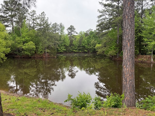 Enjoy the serene neighborhood pond in Cypress Creek Plantation