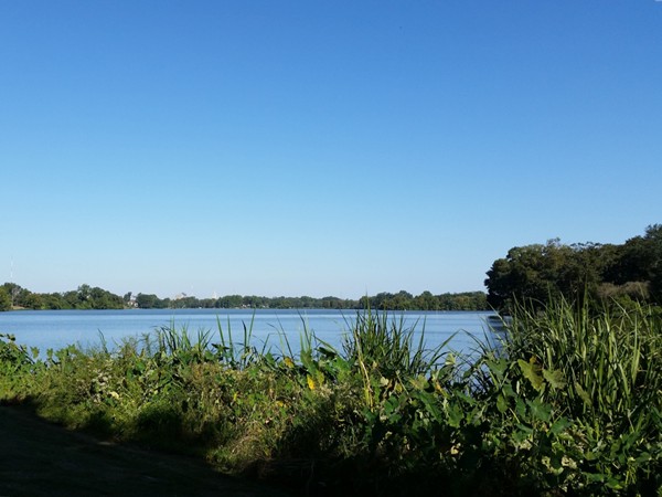Walk from Southdowns and enjoy the view of the LSU Lakes