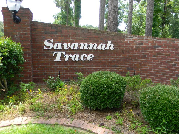 Savannah Trace boasts a bright feel