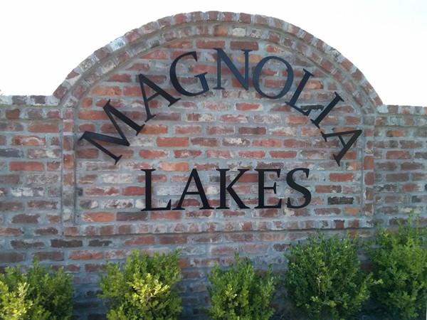 Magnolia Lakes is a new DSLD Development near Louisiana State University
