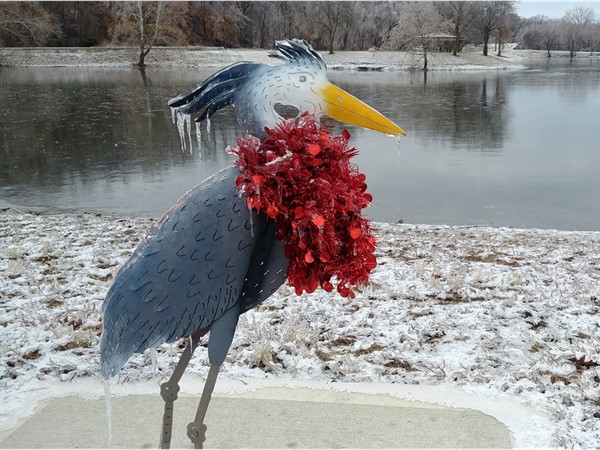 Our crane statue at Lion's Lake is looking stylish with its red scarf and icicles