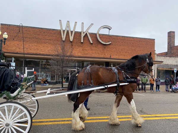 Camelot Clydesdales visit for the holidays!