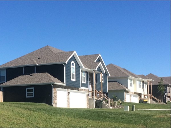 Typical homes for this subdivision