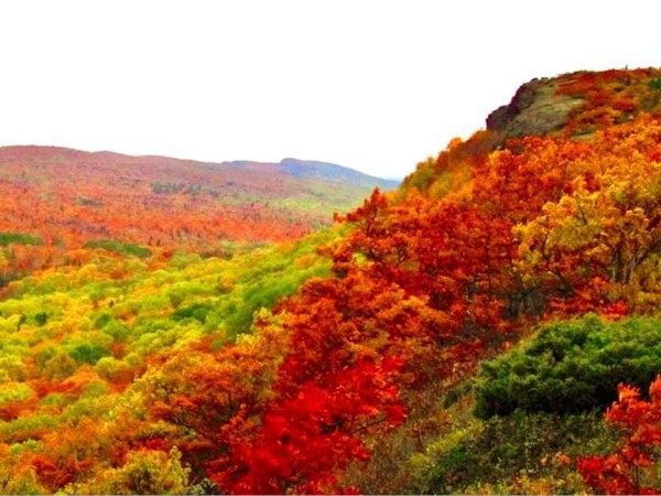 The fall colors are in full swing at Brockway Mountain