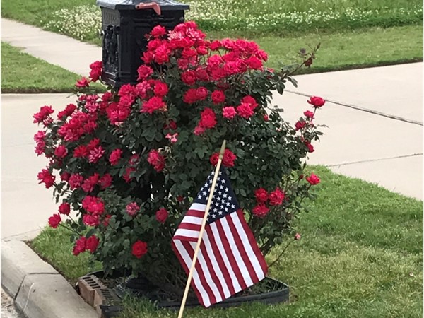 This neighborhood is honoring those who have fallen. Just one more reason it's a great neighborhood