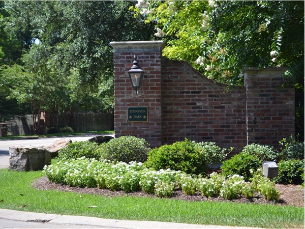  Tennyson Oaks subdivision, located off of Horsehoe Drive, is filled with exquisite upscale homes 