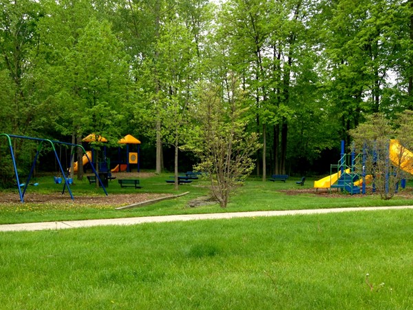 Neighborhood play area, great for families