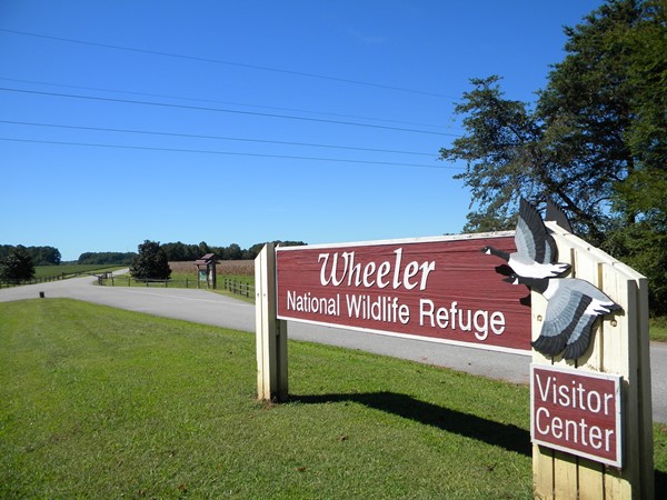 Wheeler Wildlife Refuge. A bird watchers paradise