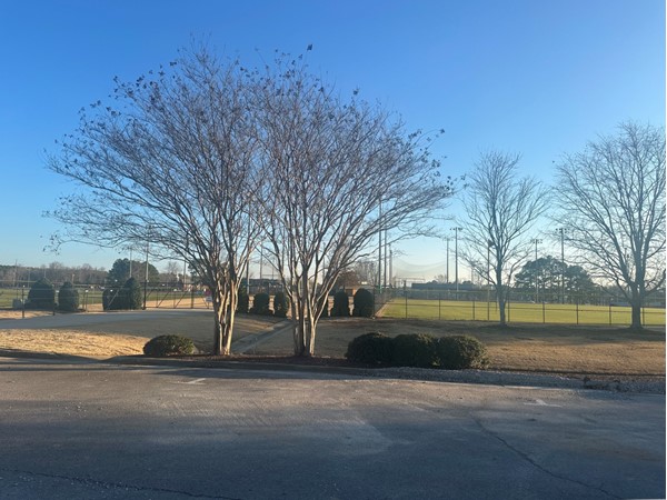 Lovely day to enjoy this park that includes baseball and softball diamonds, along with tennis courts
