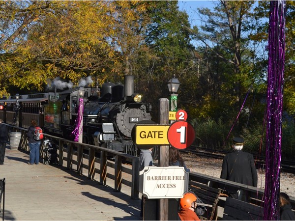 Halloween at Huckleberry Railroad