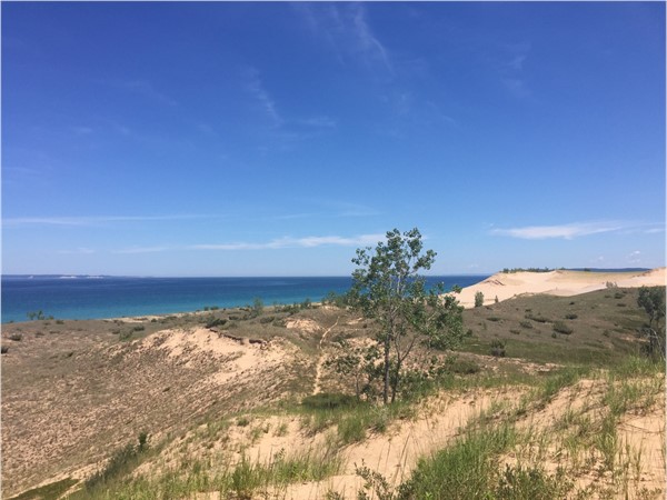 Bald eagles, deer, the Manitou Islands. What's not to love about Sleeping Bear Point views