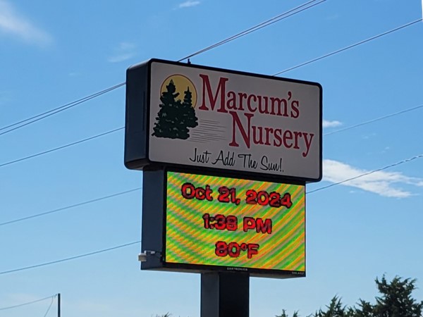 Marcum's Nursery has high quality, locally grown plants 