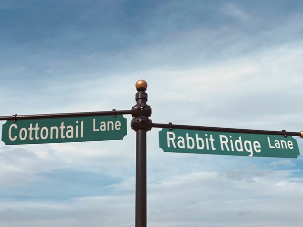 Cottontail Lane &and Rabbit Ridge Lane 