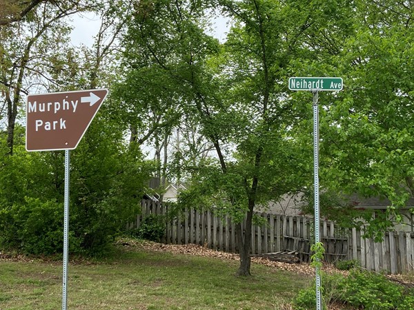 Neihardt Heights subdivision in Branson, MO