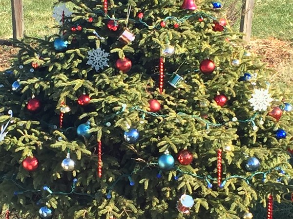Each tree on the Kearney Festival Grounds is decorated for the Mayor's Christmas Tree Walk