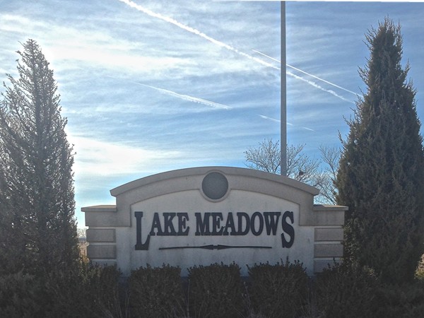 Lake Meadows subdivision 