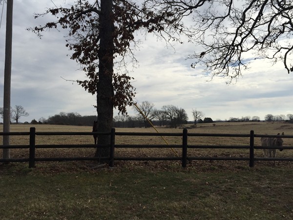If you're looking for some peace and quiet, and a little acreage, Pea Ridge is the place to be