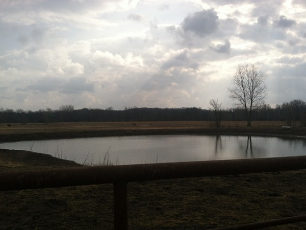 A cloudy day on this Louisburg farm